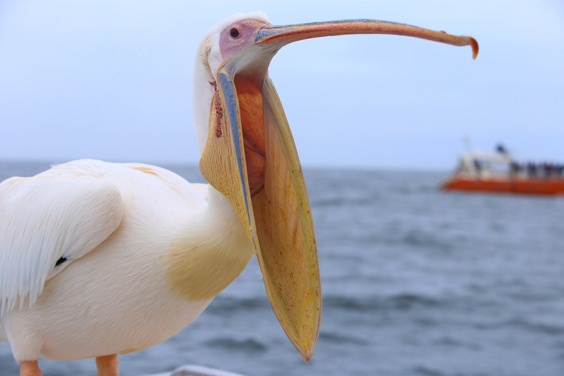 Walvis Bay