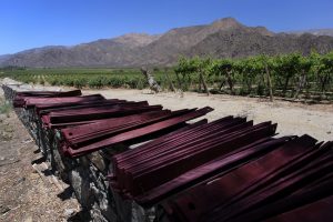 Bodega Finca Quara