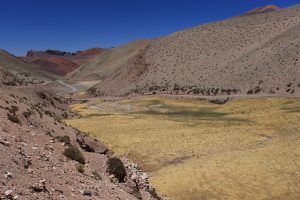 Sur la route de la Laguna Brava