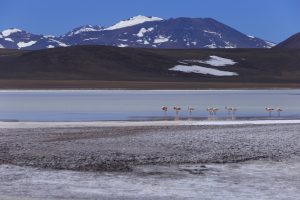 Laguna Brava