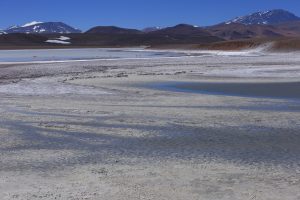 Laguna Brava