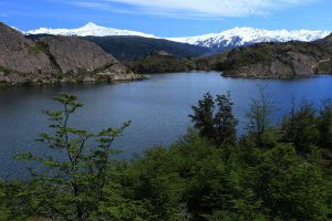 Laguna Los Patos