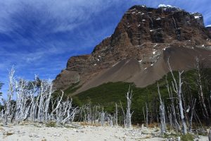 Cerro Paine Grande