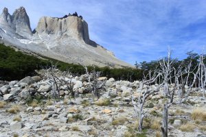 Los Cuernos